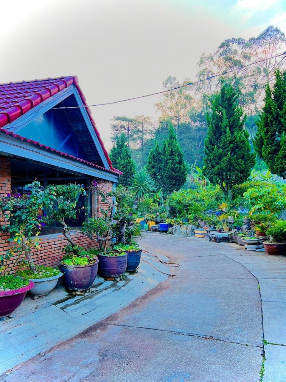 Hoa Chuong - Villa - Homestay Dalat Exteriér fotografie